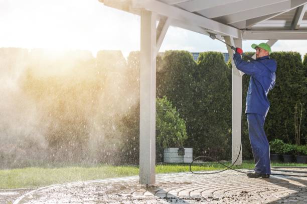 Best Sidewalk and Walkway Cleaning  in Crandon, WI