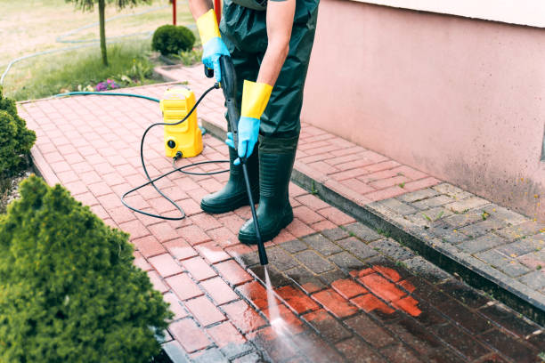 Best Sidewalk and Walkway Cleaning  in Crandon, WI